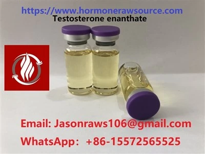 BNP testosteroni 250mg bodibilding cas: 315-37-7