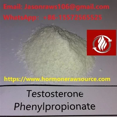 Top{0}}Bodibilding uchun sifatli testosteron fenilpropionat kukuni CAS: 1255-49-8